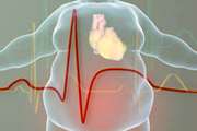 The anti-obesity effects of postbiotics: A systematic review of pre-clinical and clinical studies